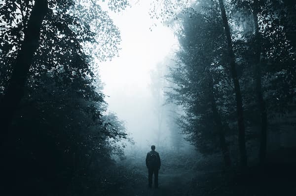 man-silhouette-in-haunted-forest-at-night